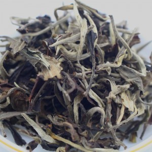 Organic White Peony 6900