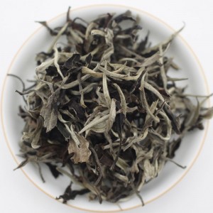 Organic White Peony 6900