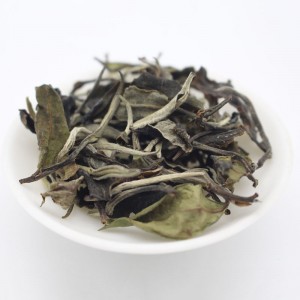 Organic White Peony 6901