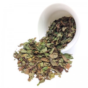 Organic White Peony 6902